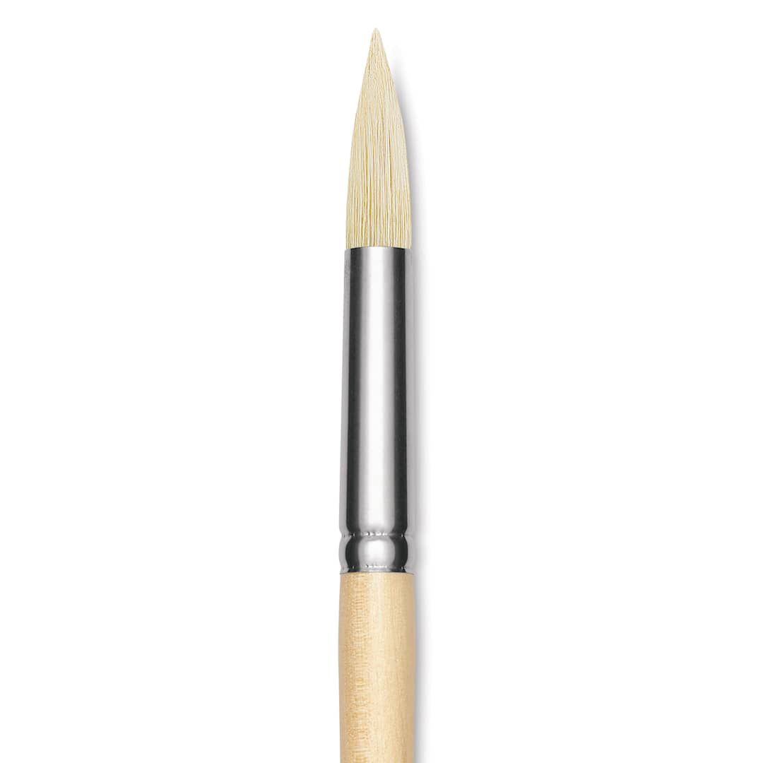Open in modal - Utrecht Rhenish Pure Hog Bristle Brush - Round, Size 10, Long Handle, close up