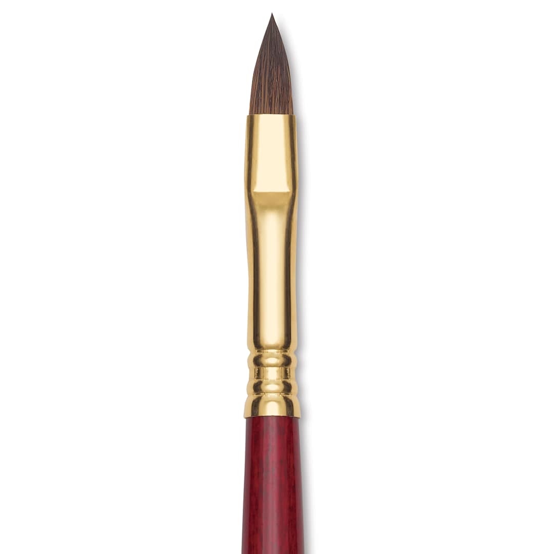 Open in modal - Blick Master Synthetic Kolinsky Brush - Short Handle, Filbert, Size 8, close-up