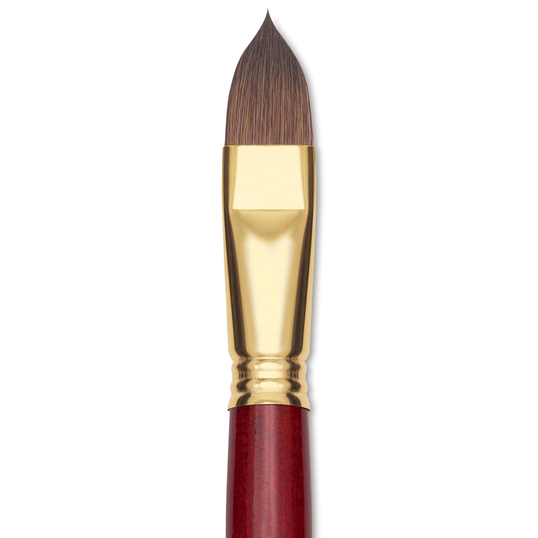Open in modal - Blick Master Synthetic Kolinsky Brush - Short Handle, Filbert, Size 18, close-up