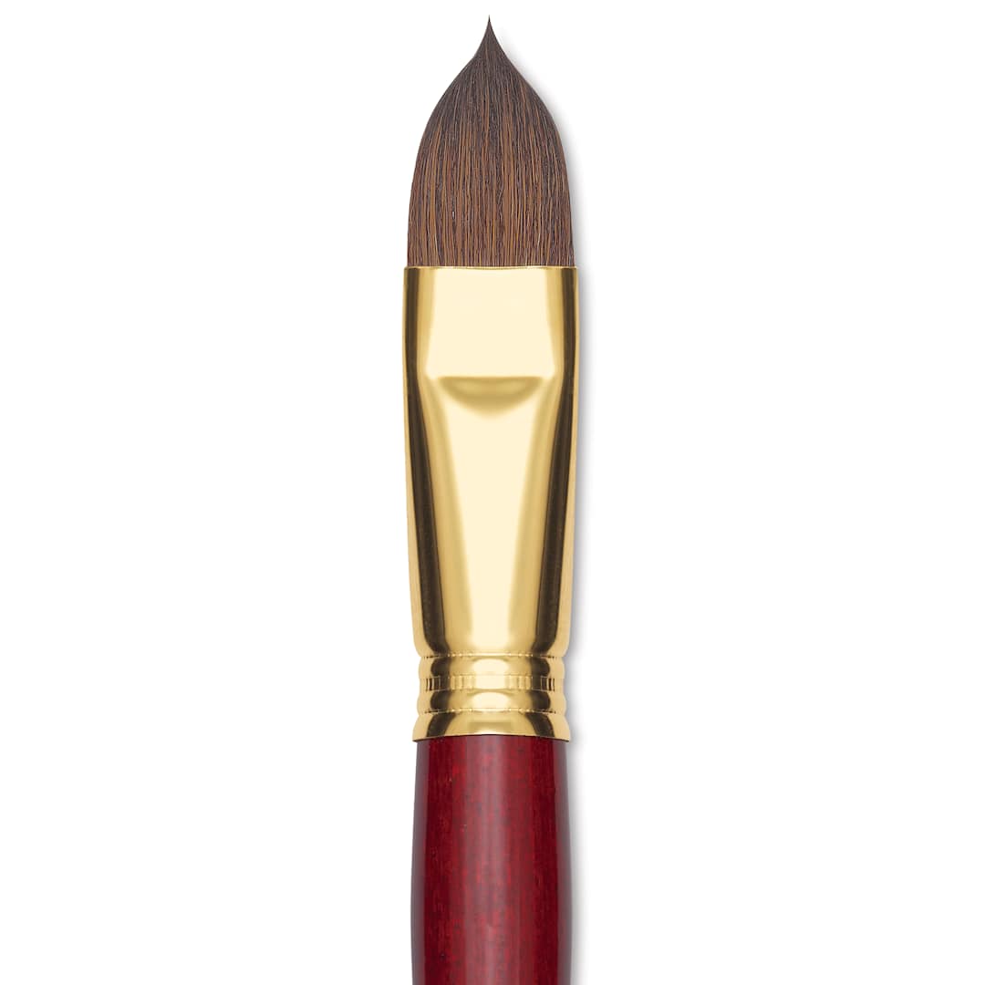 Open in modal - Blick Master Synthetic Kolinsky Brush - Short Handle, Filbert, Size 20, close-up