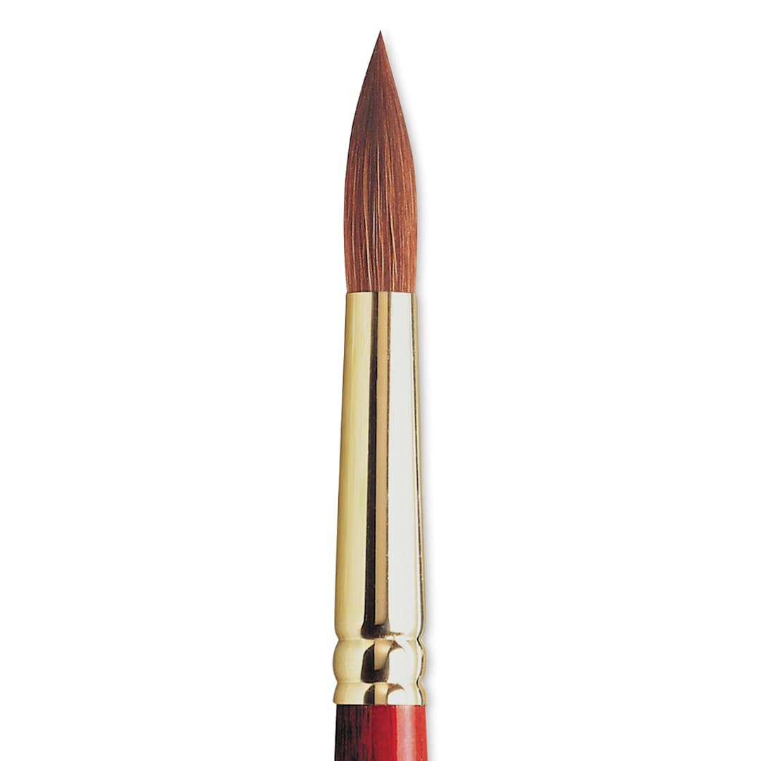 Open in modal - Winsor & Newton Sceptre Gold II Brush - Pointed Round, Short Handle, Size 12