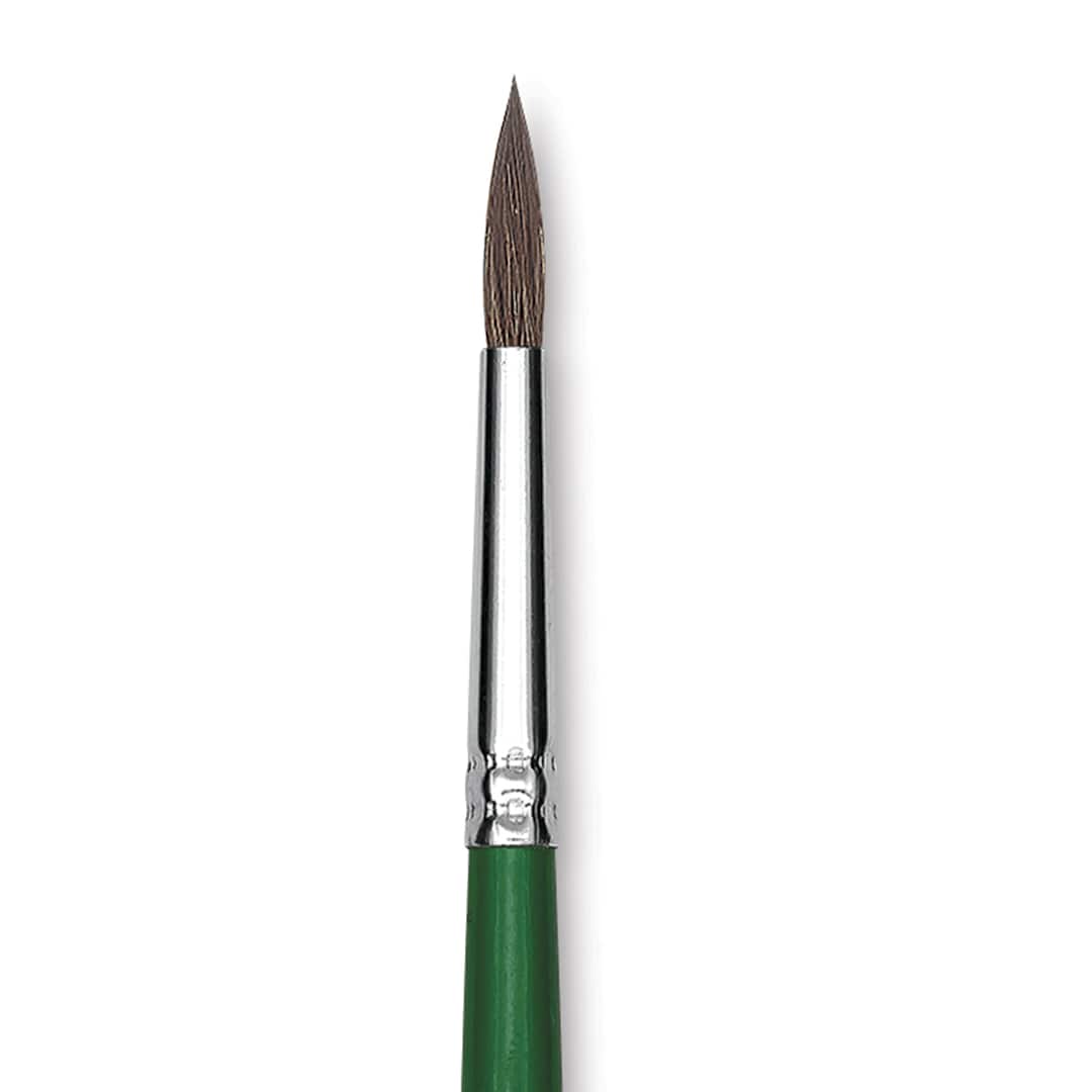 Open in modal - Blick Economy Pony Hair Brush - Round, Short Handle, Size 6 close-up
