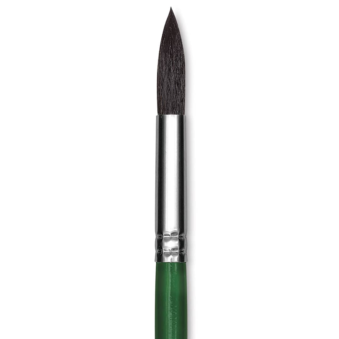 Open in modal - Blick Economy Camel Hair Brush - Round, Short Handle, Size 14 close up