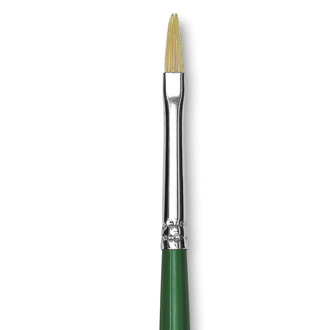 Open in modal - Blick Economy White Bristle Brush - Filbert, Size 1 close up