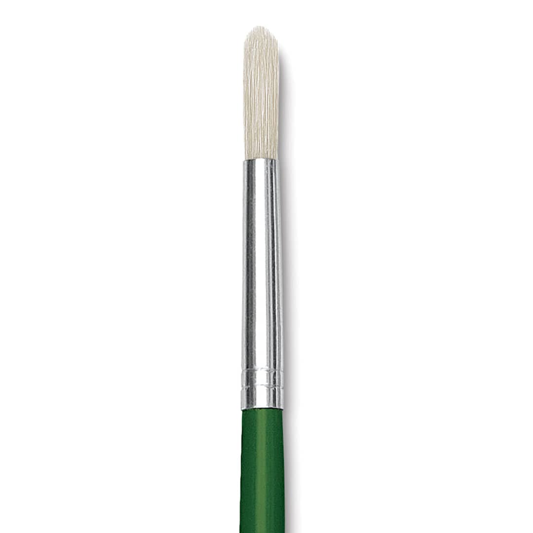 Open in modal - Blick Economy White Bristle Brush - Round, Size 8 close up
