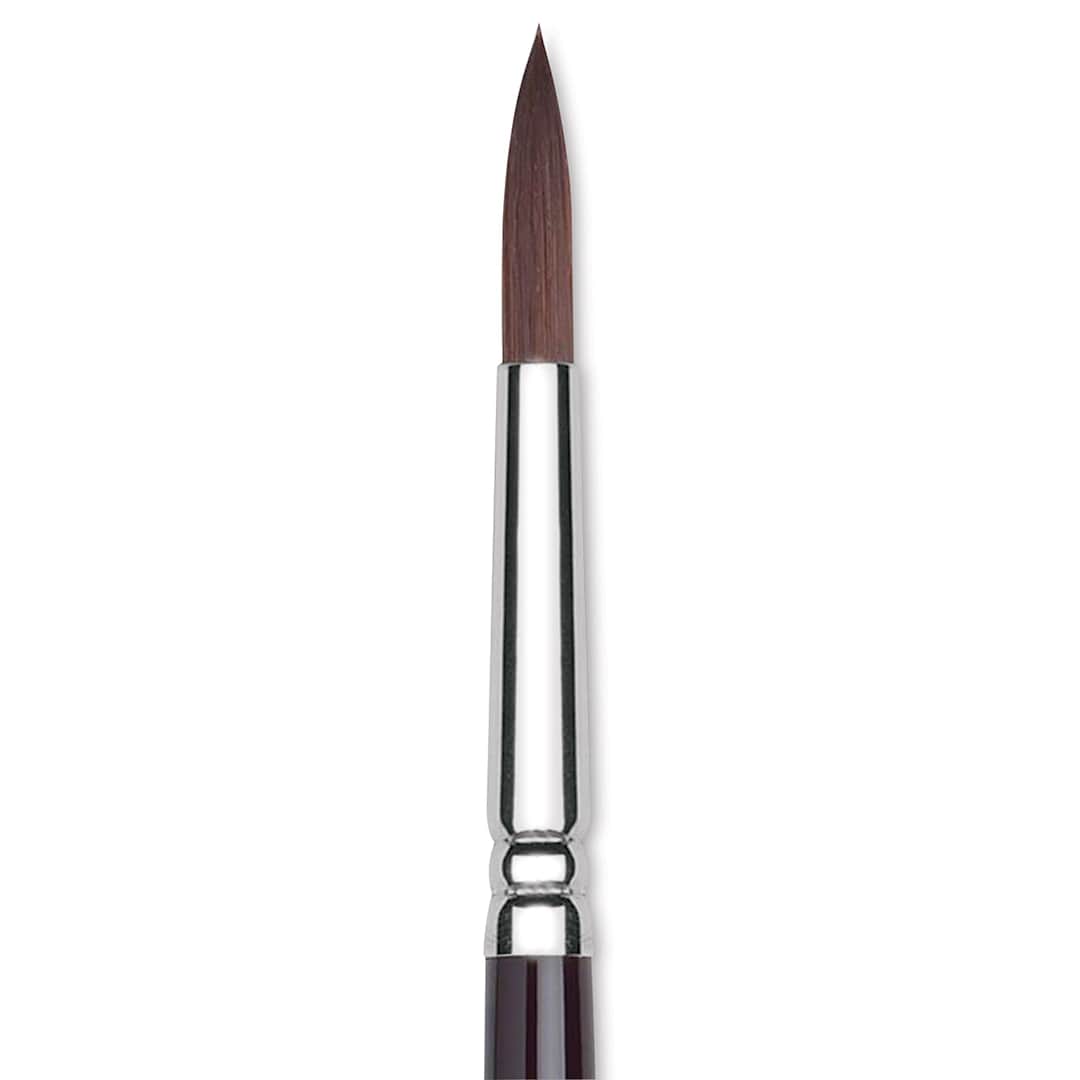 Open in modal - Winsor & Newton Galeria Brush - Round, Short Handle , Size 8
