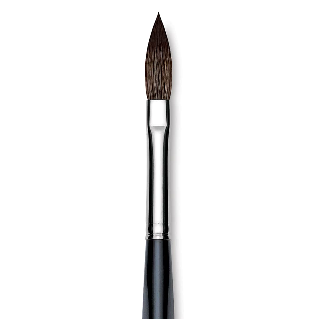 Open in modal - Da Vinci Casaneo Synthetic Squirrel Watercolor Brush - Pointed Oval Wash, Size 6, Short Handle, Synthetic, close up