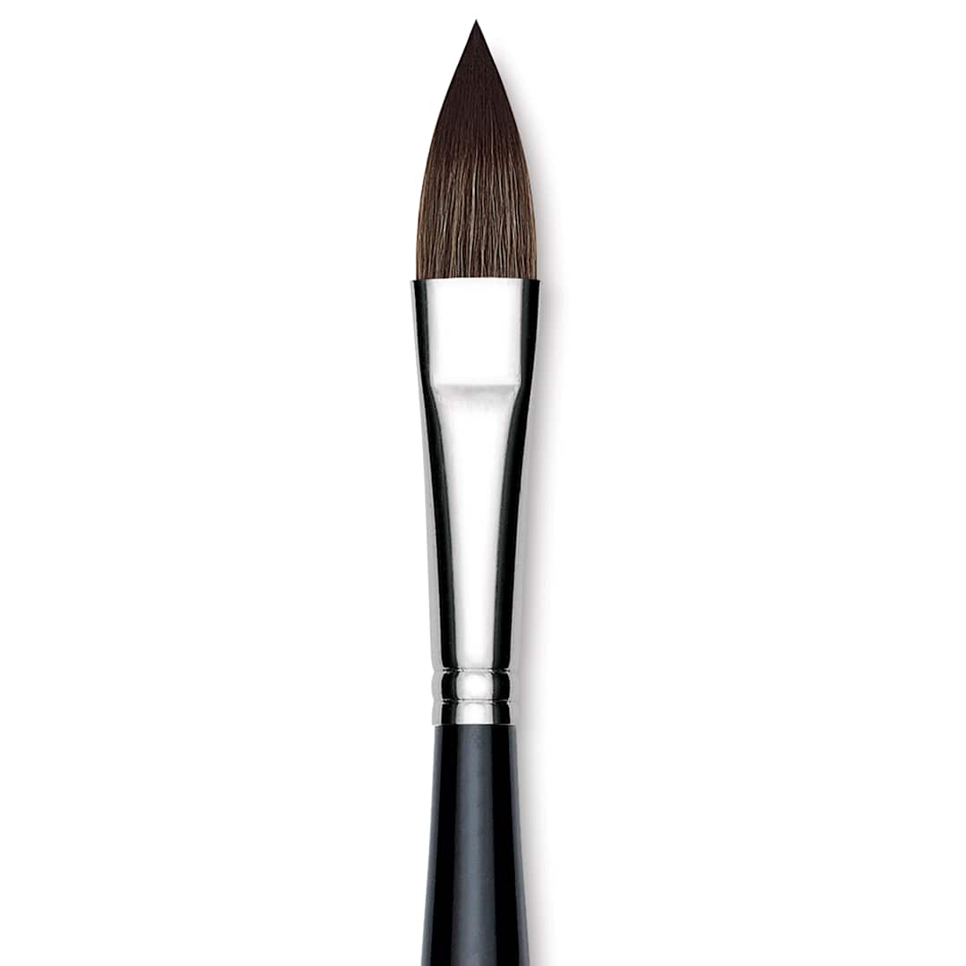 Open in modal - Da Vinci Casaneo Synthetic Squirrel Watercolor Brush - Pointed Oval Wash, Size 12, Short Handle, Synthetic, close up