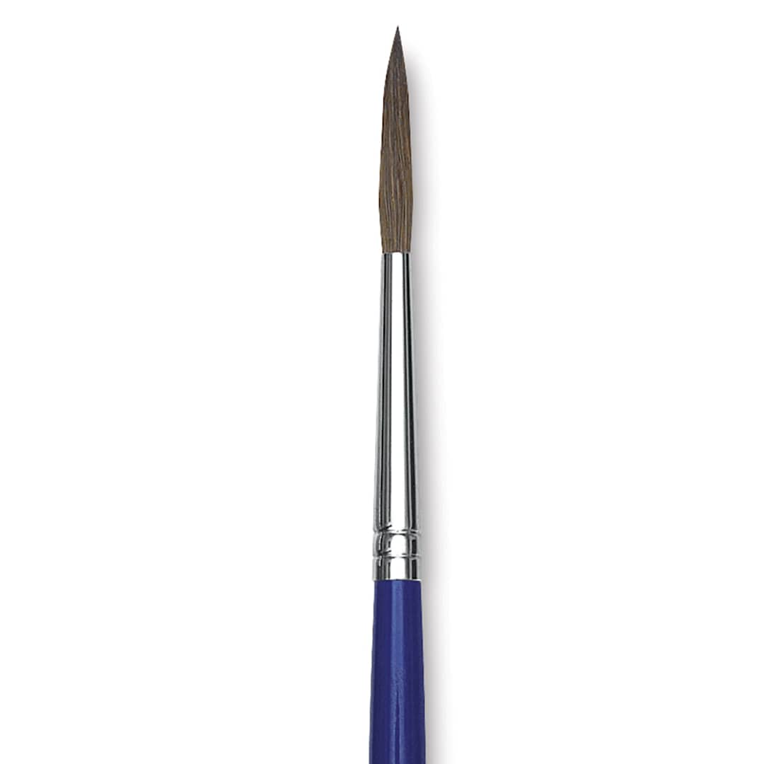 Open in modal - Blick Scholastic Red Sable Brush - Script, Size 4 close up