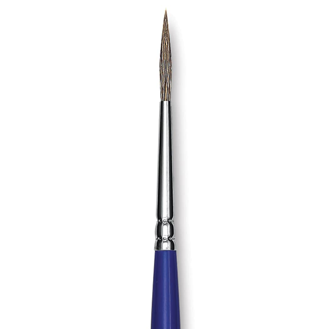 Open in modal - Blick Scholastic Ox Hair Brush - Script, Short Handle, Size 1 close up