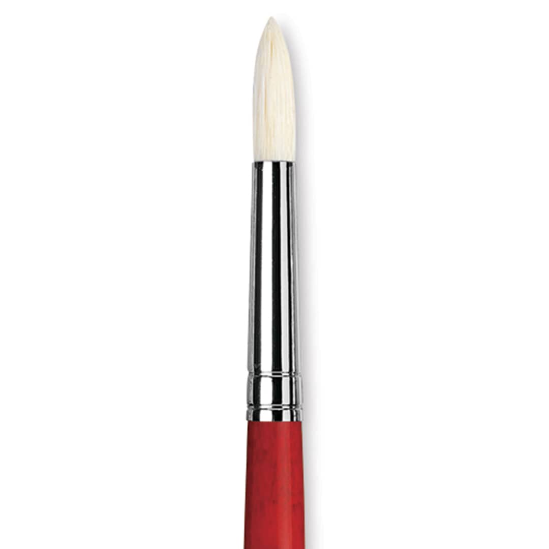 Open in modal - Da Vinci Maestro 2 Hog Bristle Brush - Round, Long Handle, Size 6 close up