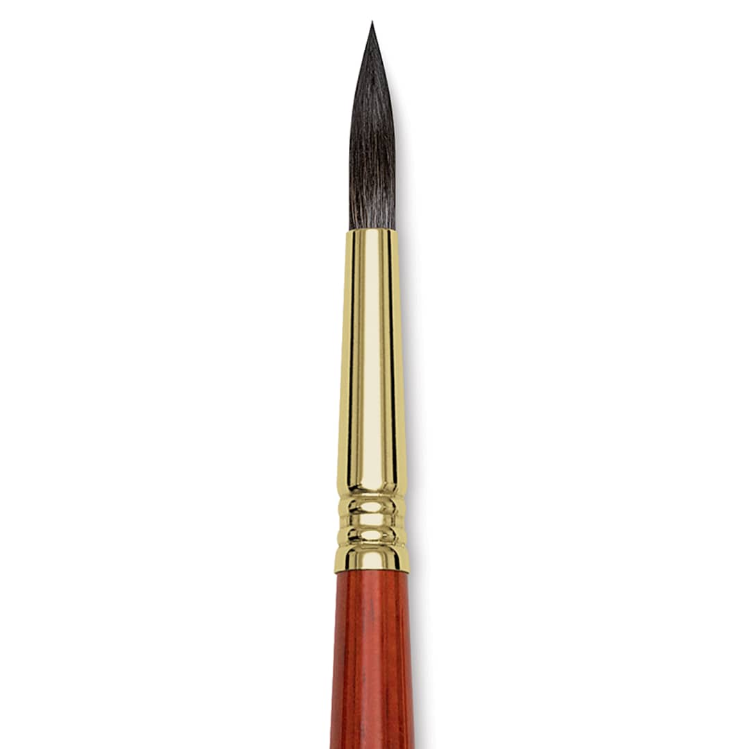 Open in modal - Blick Master Natural Brush - Round, Size 10, close-up