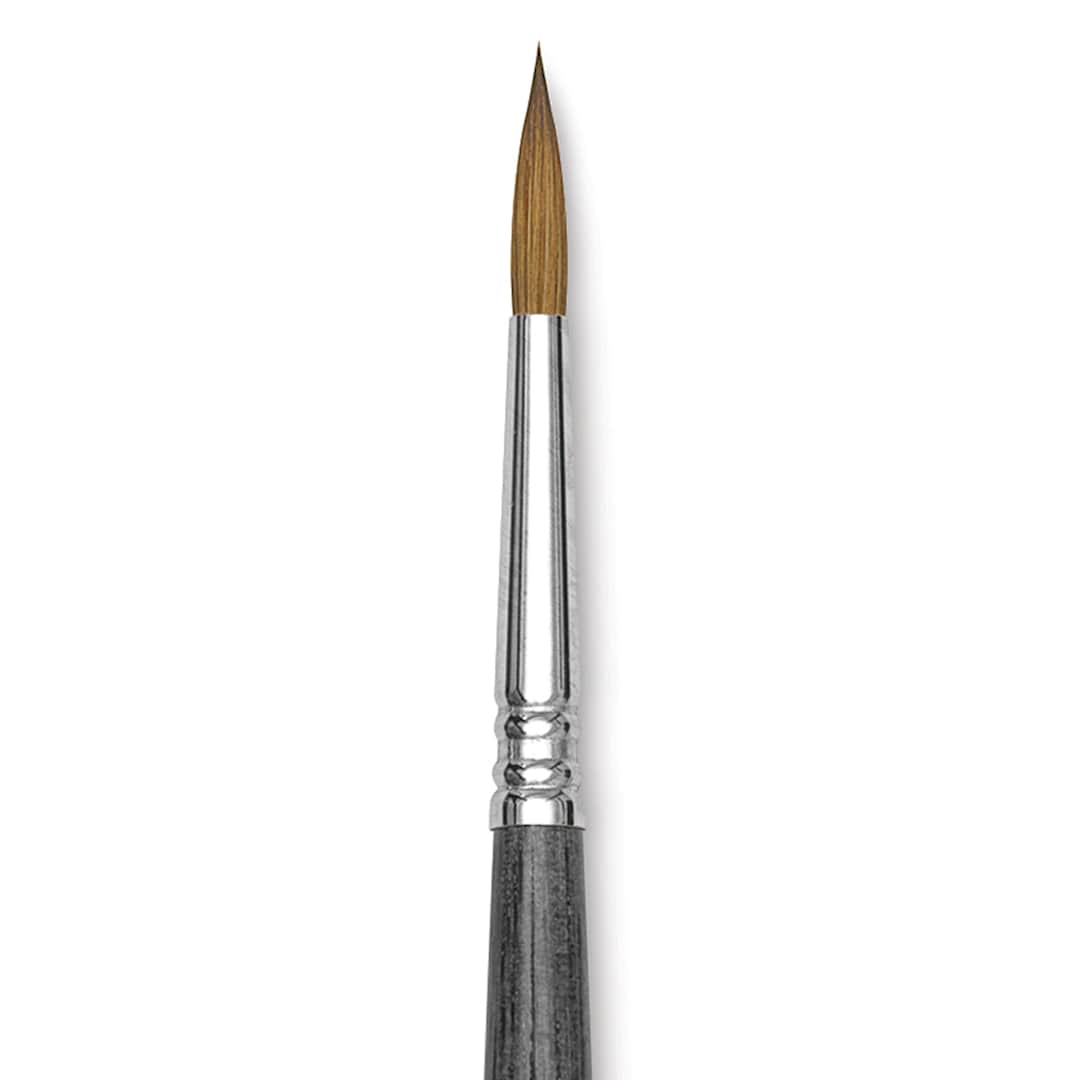 Open in modal - Blick Studio Sable Brush - Round, Short Handle, Size 6 close up