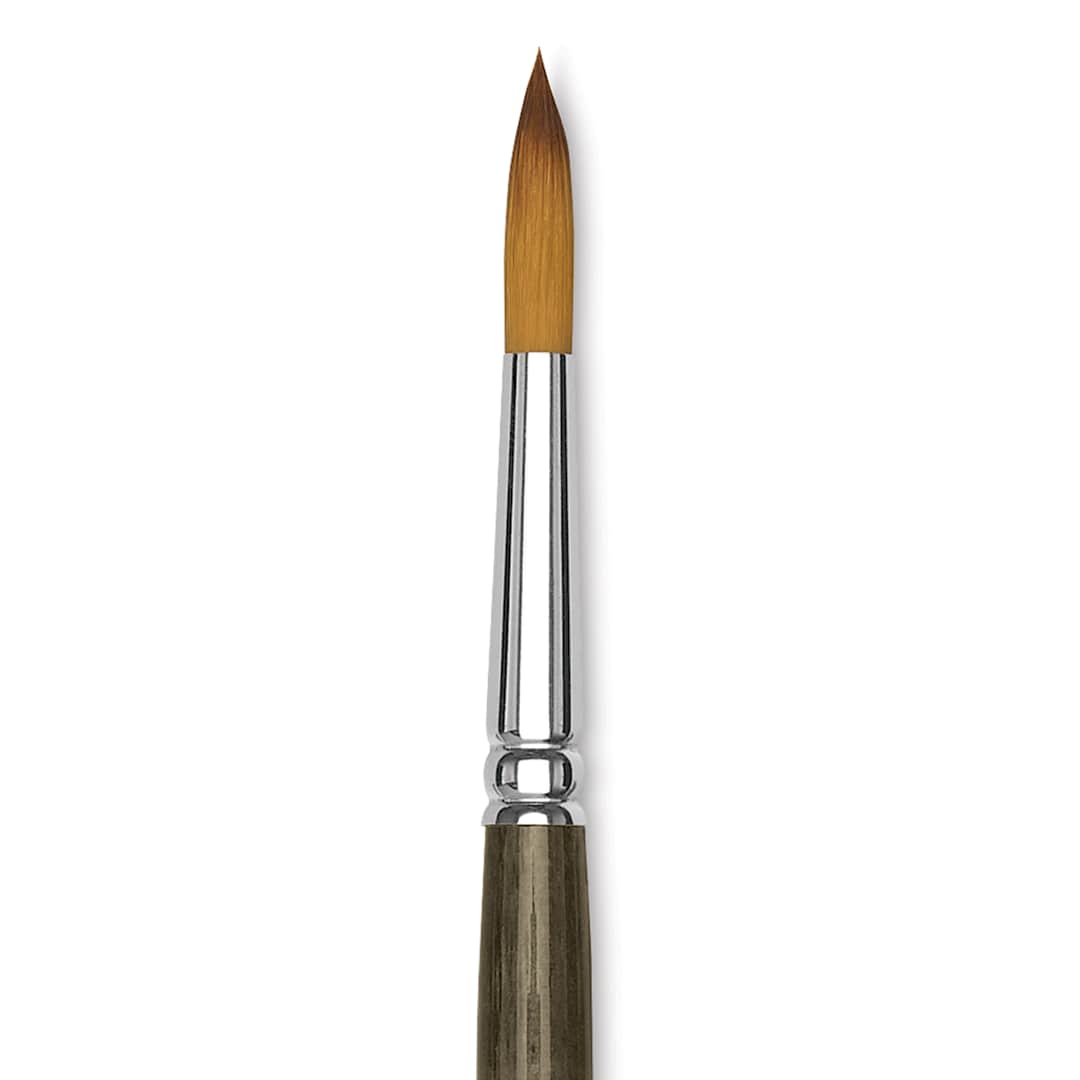 Open in modal - Blick Studio Short Handle Synthetic Brush - Round, Black Handle, Size 10, close up