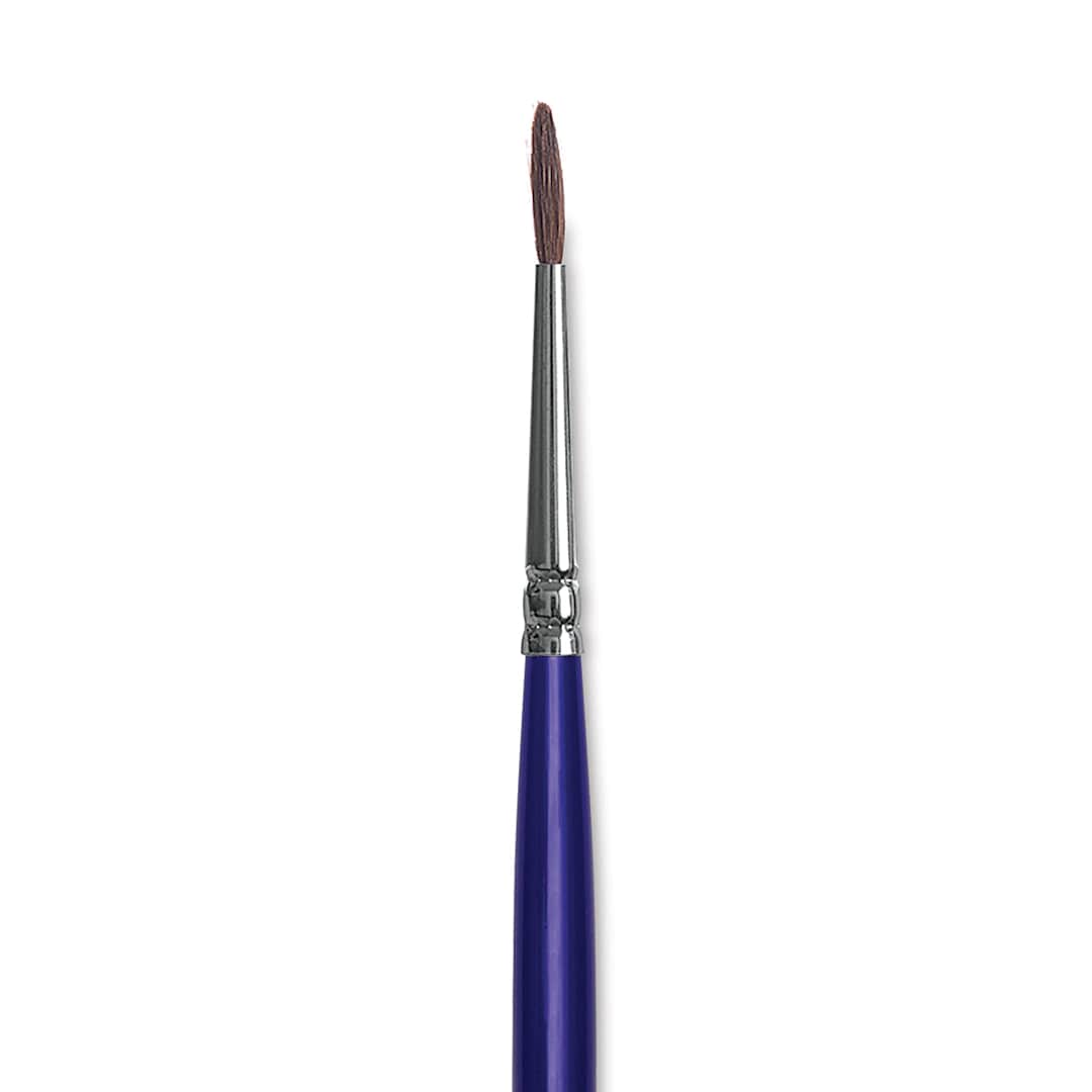 Open in modal - Blick Scholastic Short Handle Red Sable Brush - Round, Size 1 close up