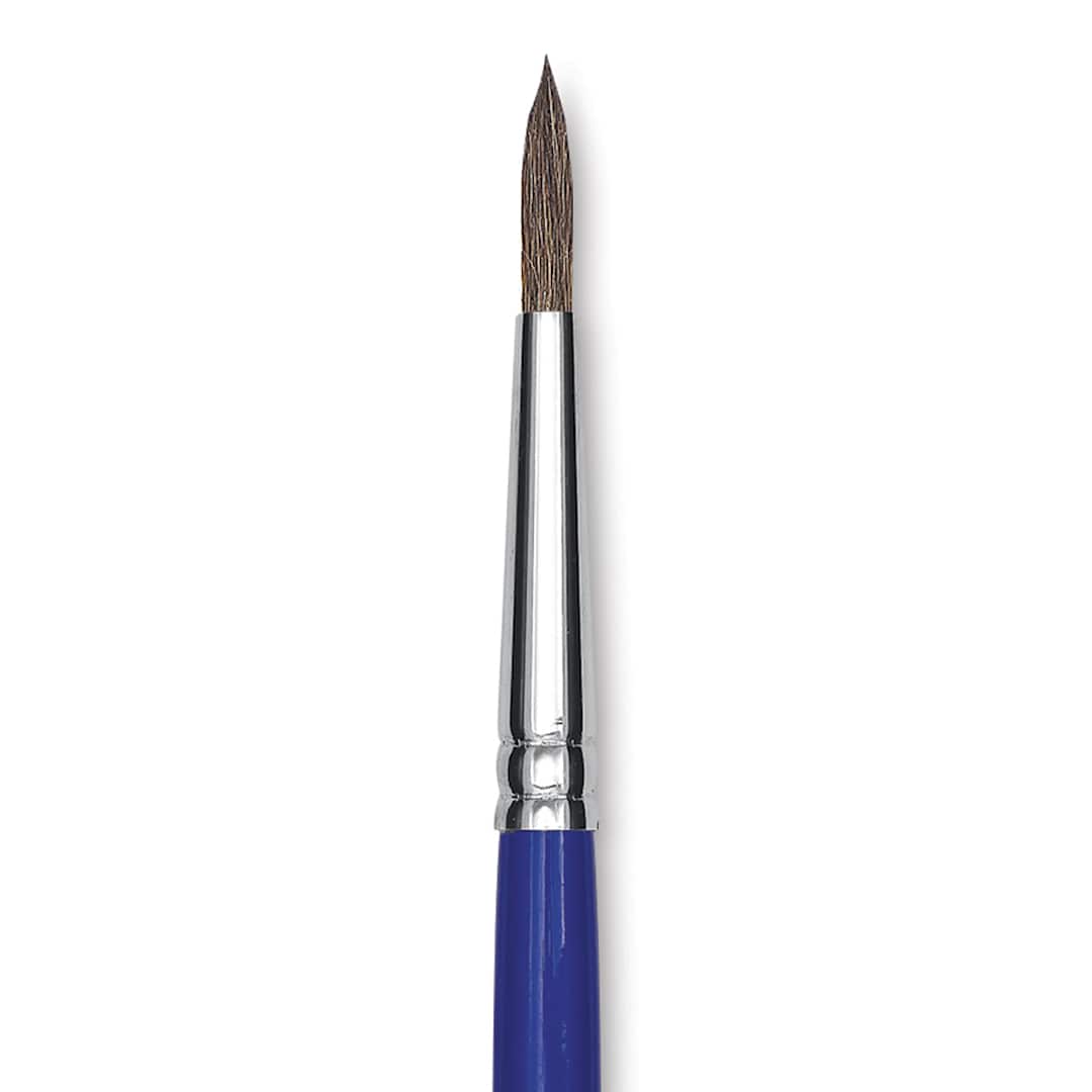 Open in modal - Blick Scholastic Ox Brush - Round, Short Handle, Size 6 close up