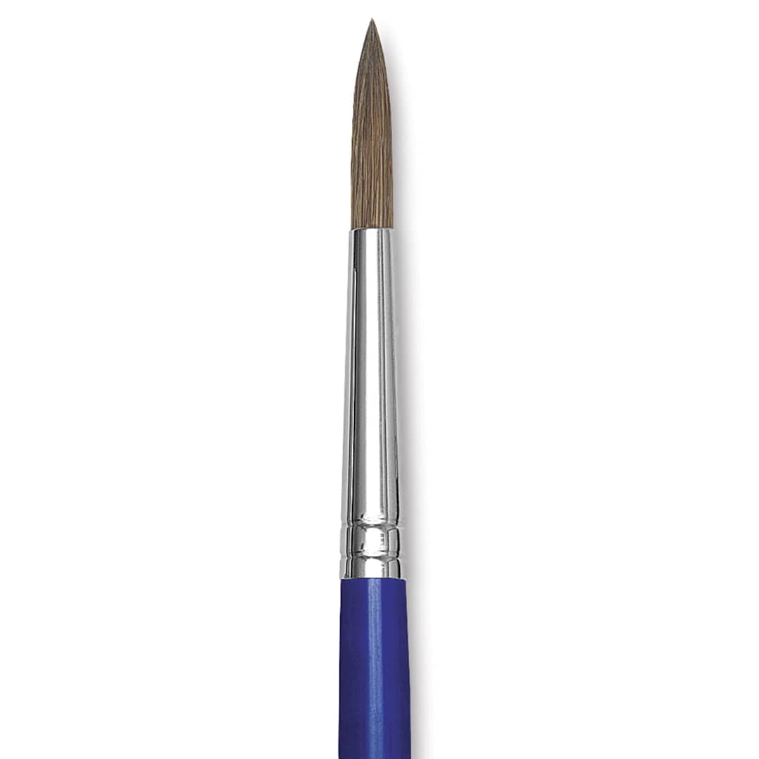 Open in modal - Blick Scholastic Ox Brush - Round, Short Handle, Size 8 close up
