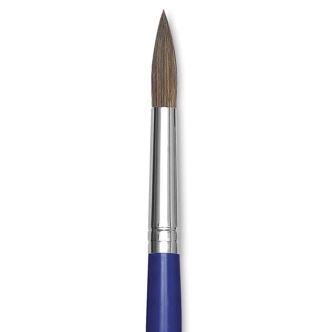 Open in modal - Blick Scholastic Ox Brush - Round, Short Handle, Size 12 close up