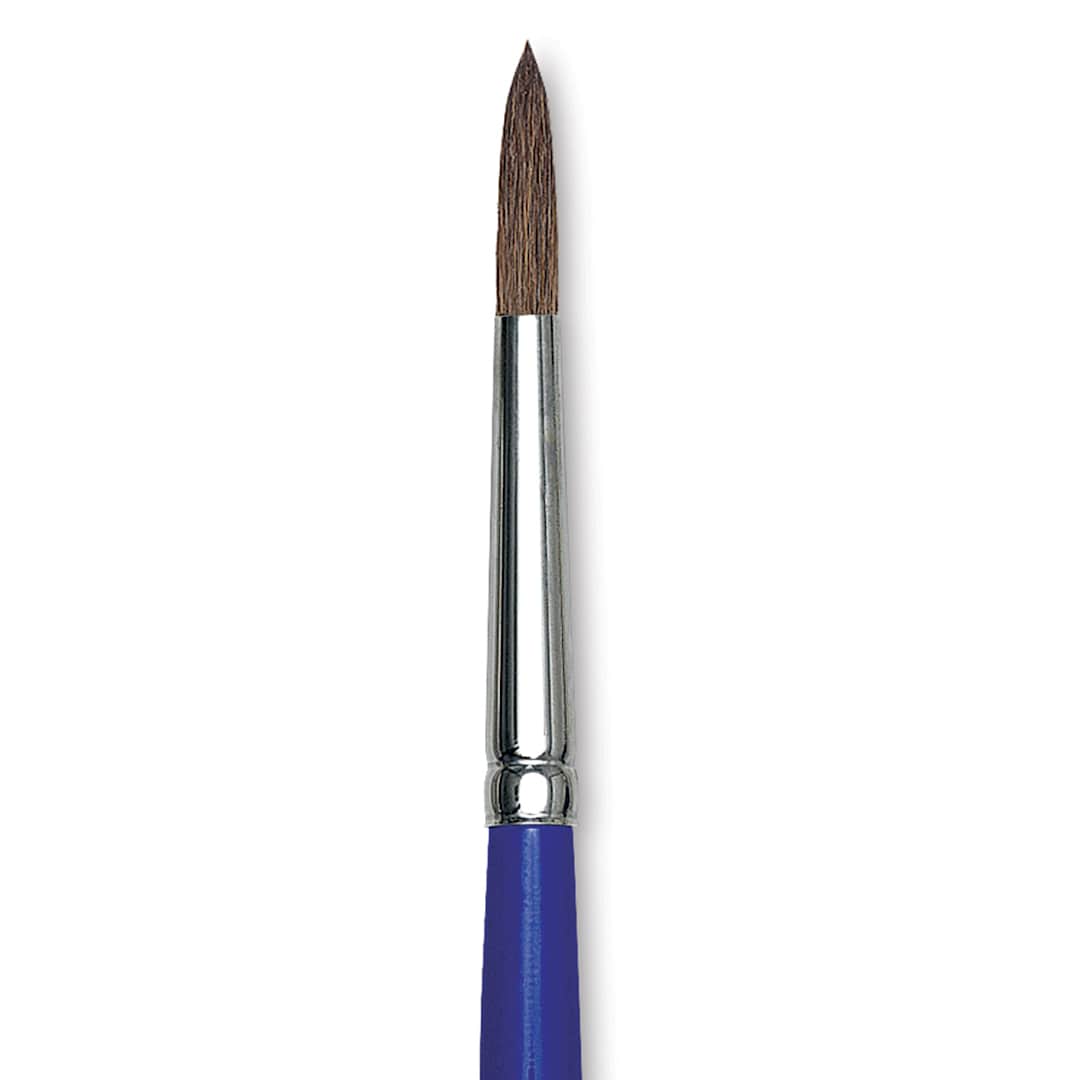 Open in modal - Blick Scholastic Camel Hair Brush - Round, Short Handle, Size 8 close up