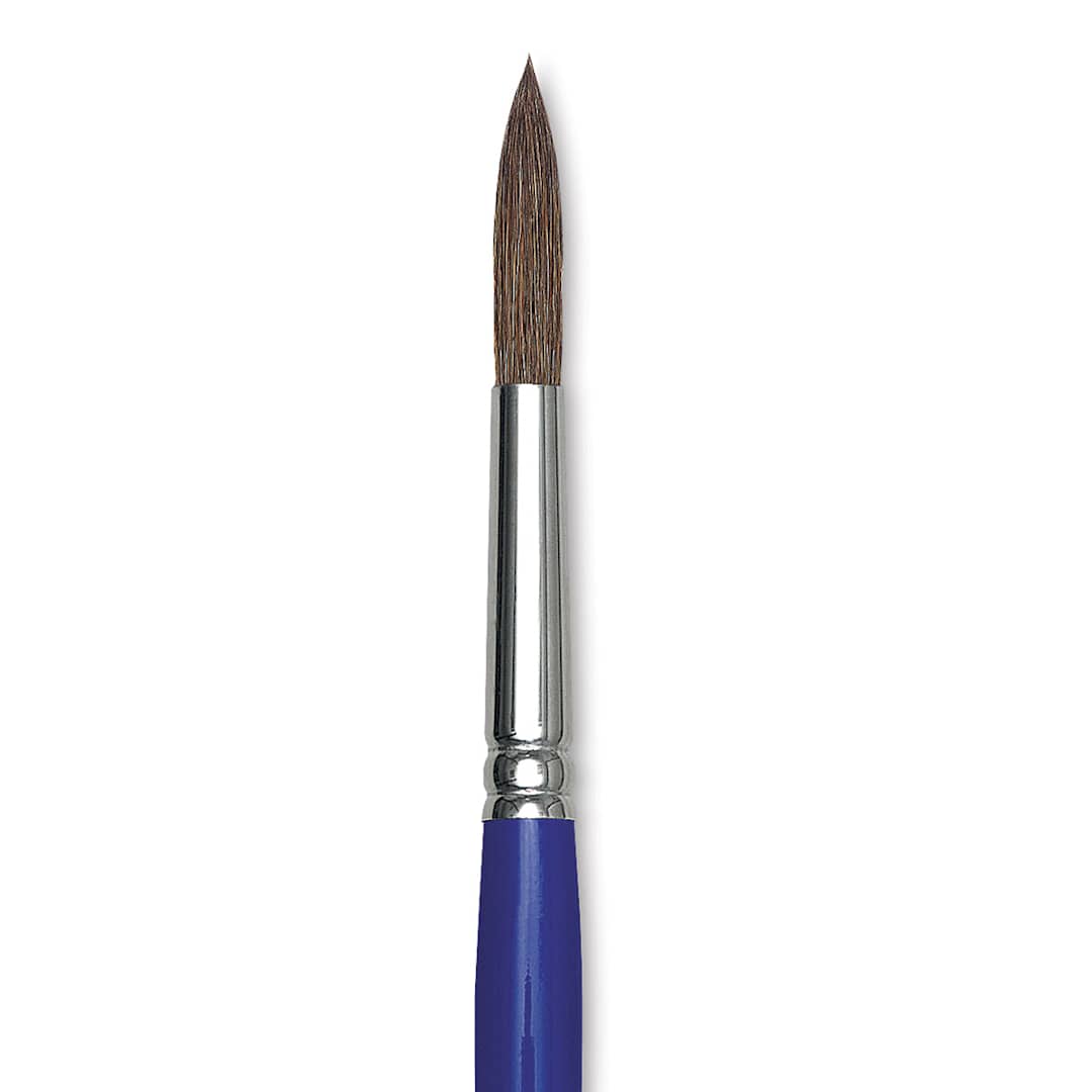 Open in modal - Blick Scholastic Camel Hair Brush - Round, Short Handle, Size 12 close up