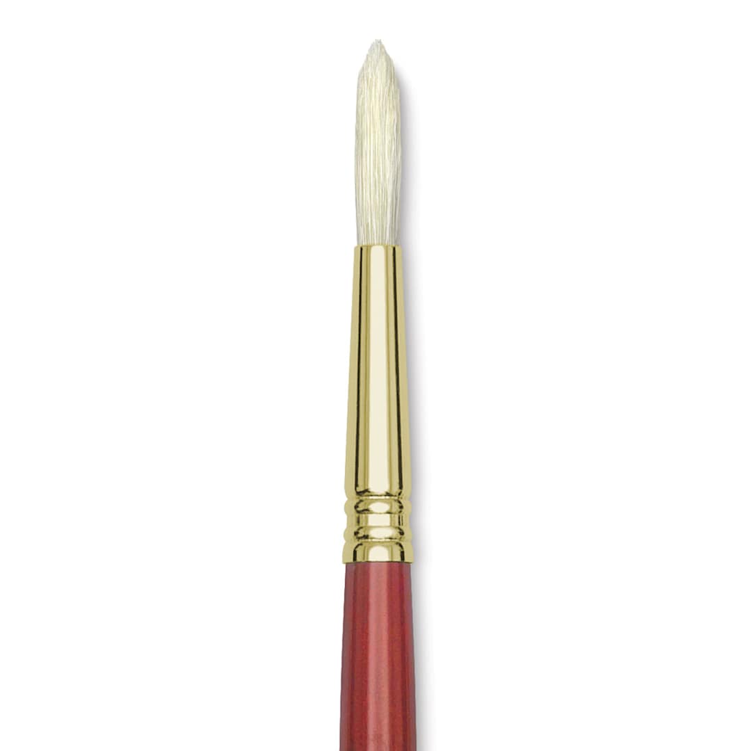 Open in modal - Blick Master Bristle Brush - Round, Long Handle, Size 10 close up