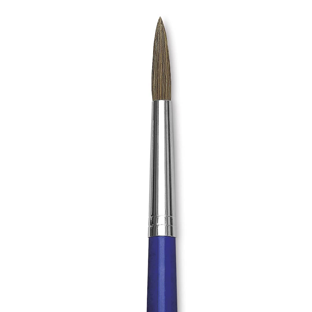 Open in modal - Blick Scholastic Ox Hair Brush - Round, Long Handle, Size 10 close up