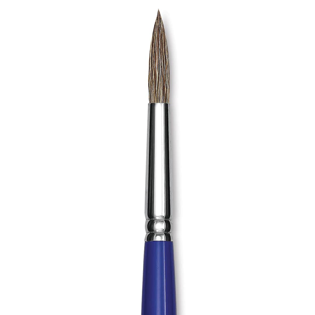 Open in modal - Blick Scholastic Ox Hair Brush - Round, Long Handle, Size 12 close up