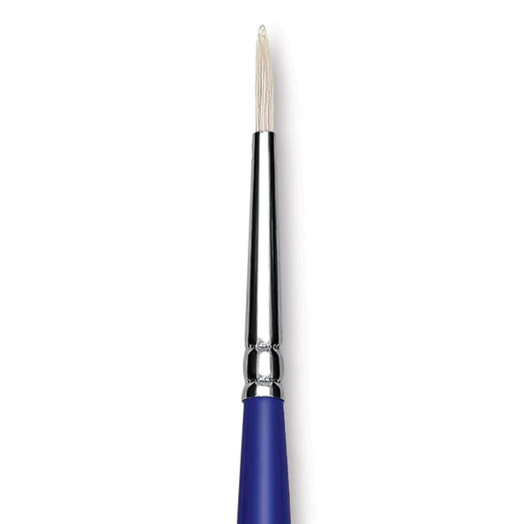 Open in modal - Blick Scholastic White Bristle Brush - Round, Size 2 close up