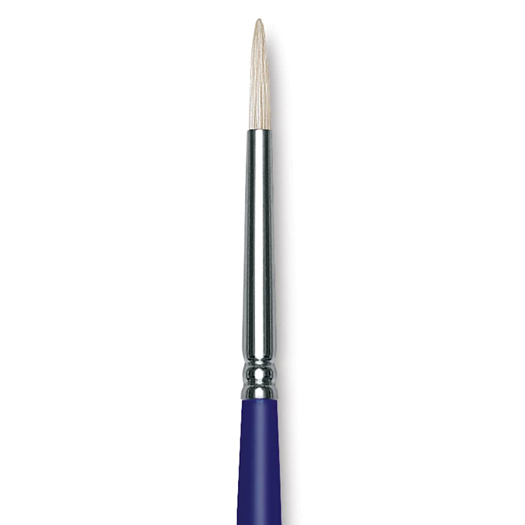 Open in modal - Blick Scholastic White Bristle Brush - Round, Size 4 close up