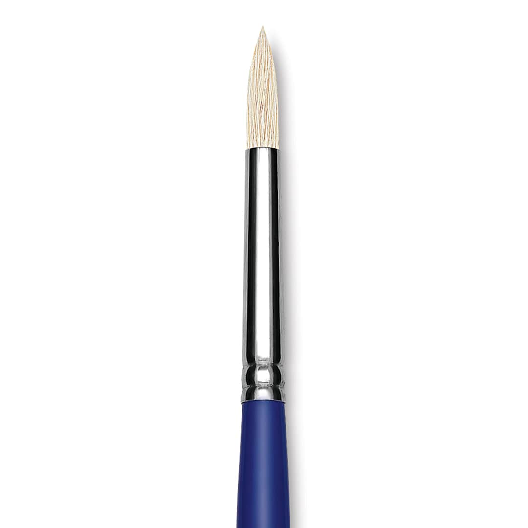 Open in modal - Blick Scholastic White Bristle Brush - Round, Size 8 close up