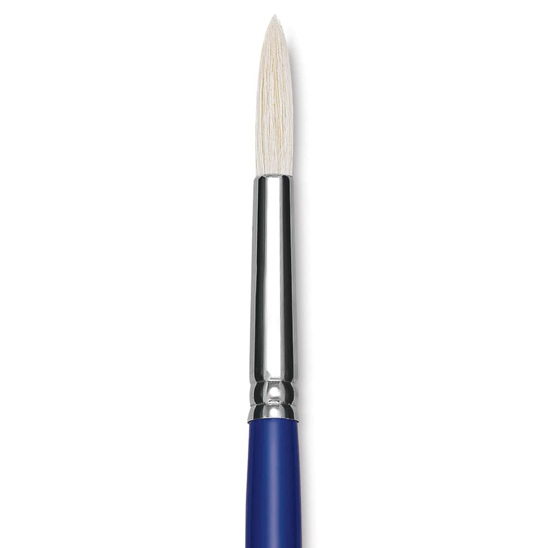 Open in modal - Blick Scholastic White Bristle Brush - Round, Size 12 close up