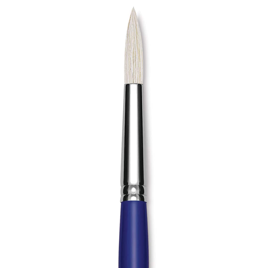 Open in modal - Blick Scholastic White Bristle Brush - Round, Size 14 close up