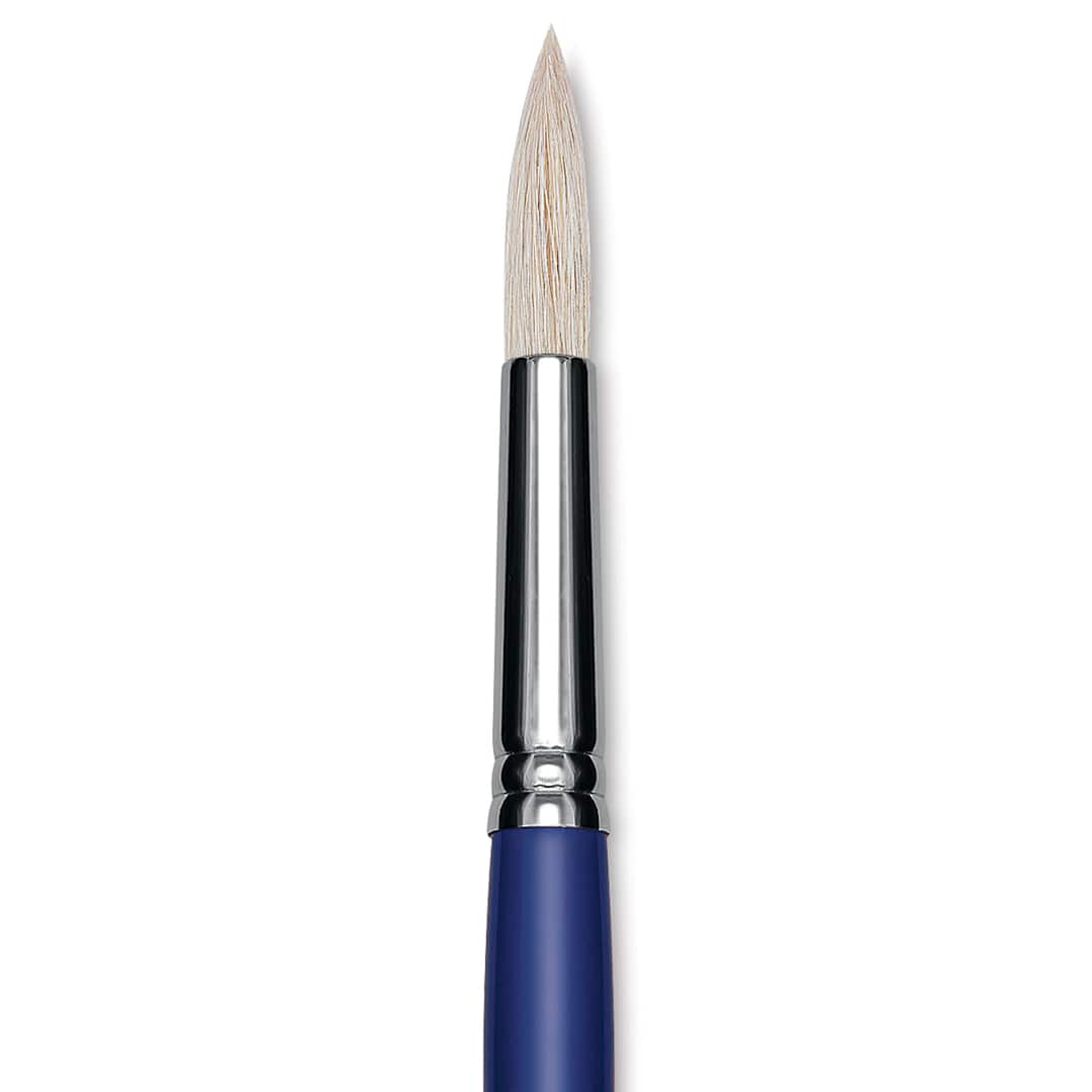 Open in modal - Blick Scholastic White Bristle Brush - Round, Size 16 close up