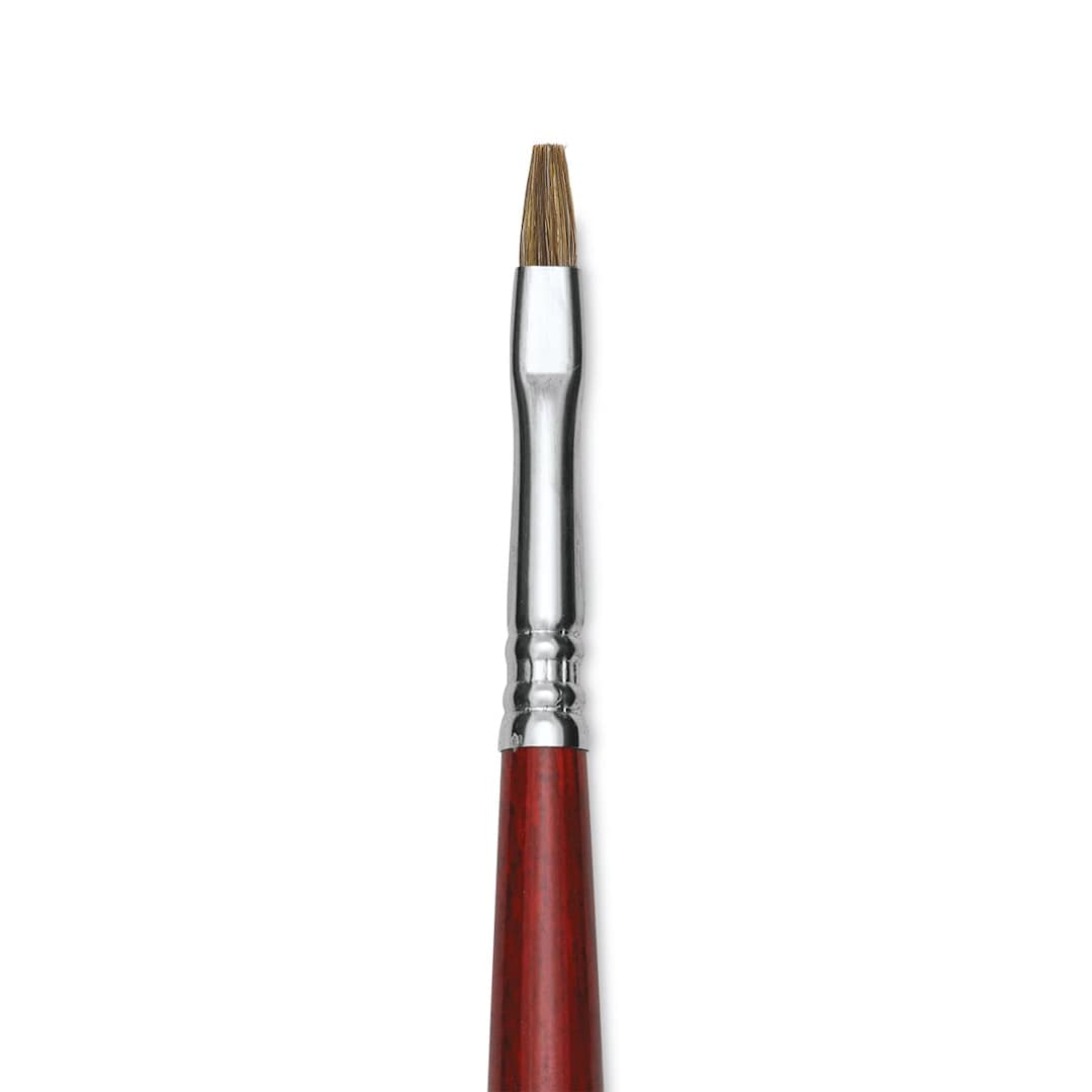 Open in modal - Escoda Bravo Light Ox Hair Brush - Bright, Long Handle, Size 4 close up