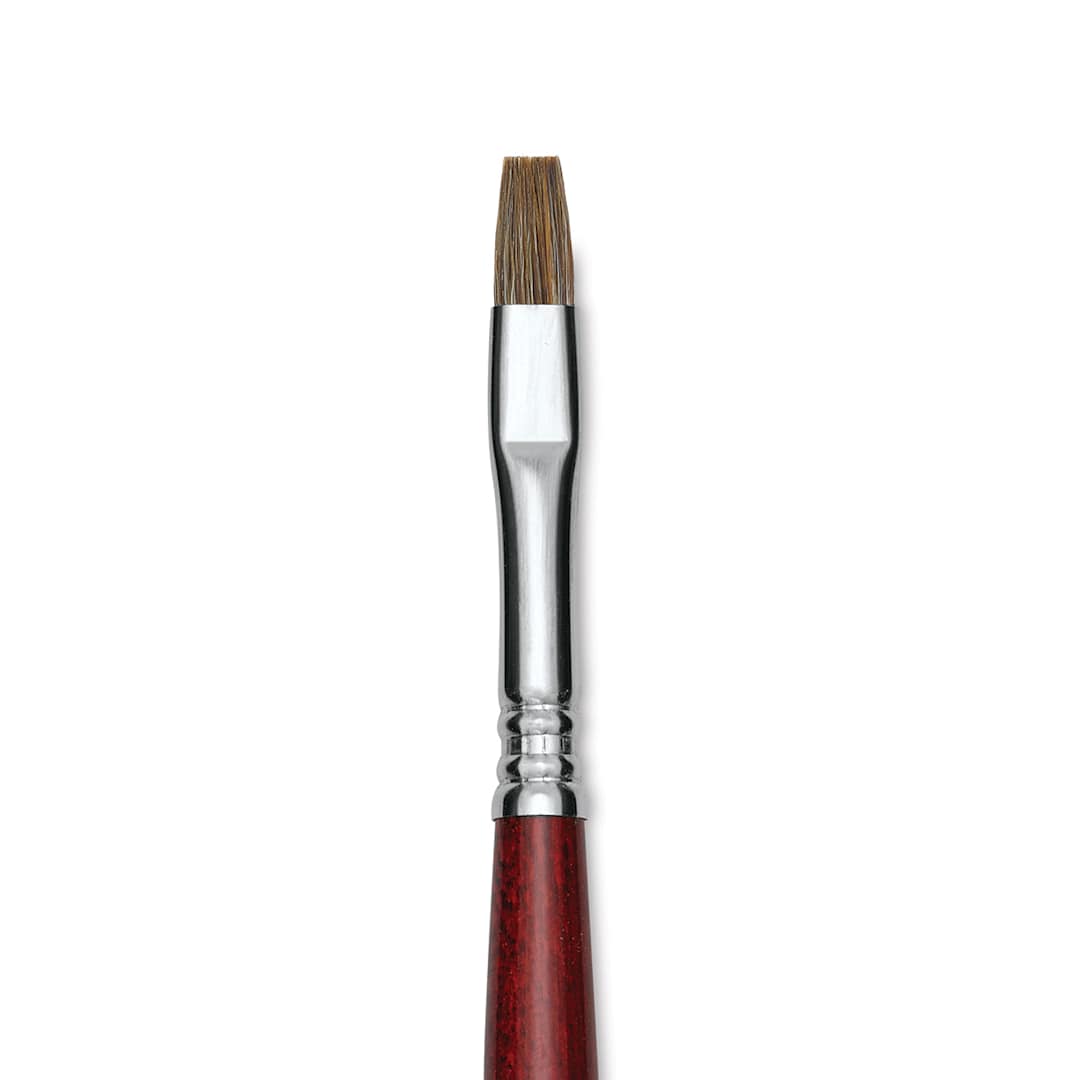 Open in modal - Escoda Bravo Light Ox Hair Brush - Bright, Long Handle, Size 8 close up