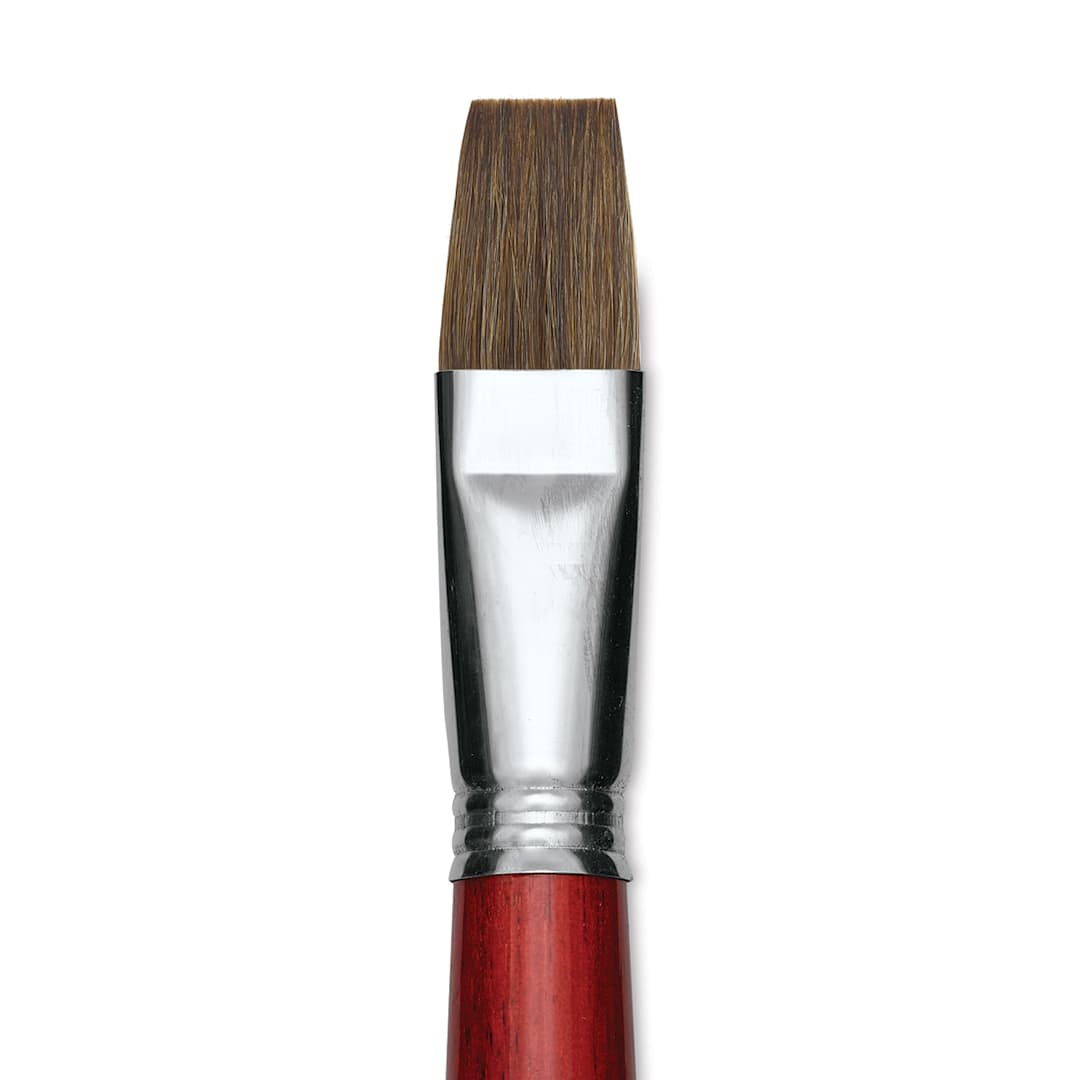 Open in modal - Escoda Bravo Light Ox Hair Brush - Bright, Long Handle, Size 22 close up