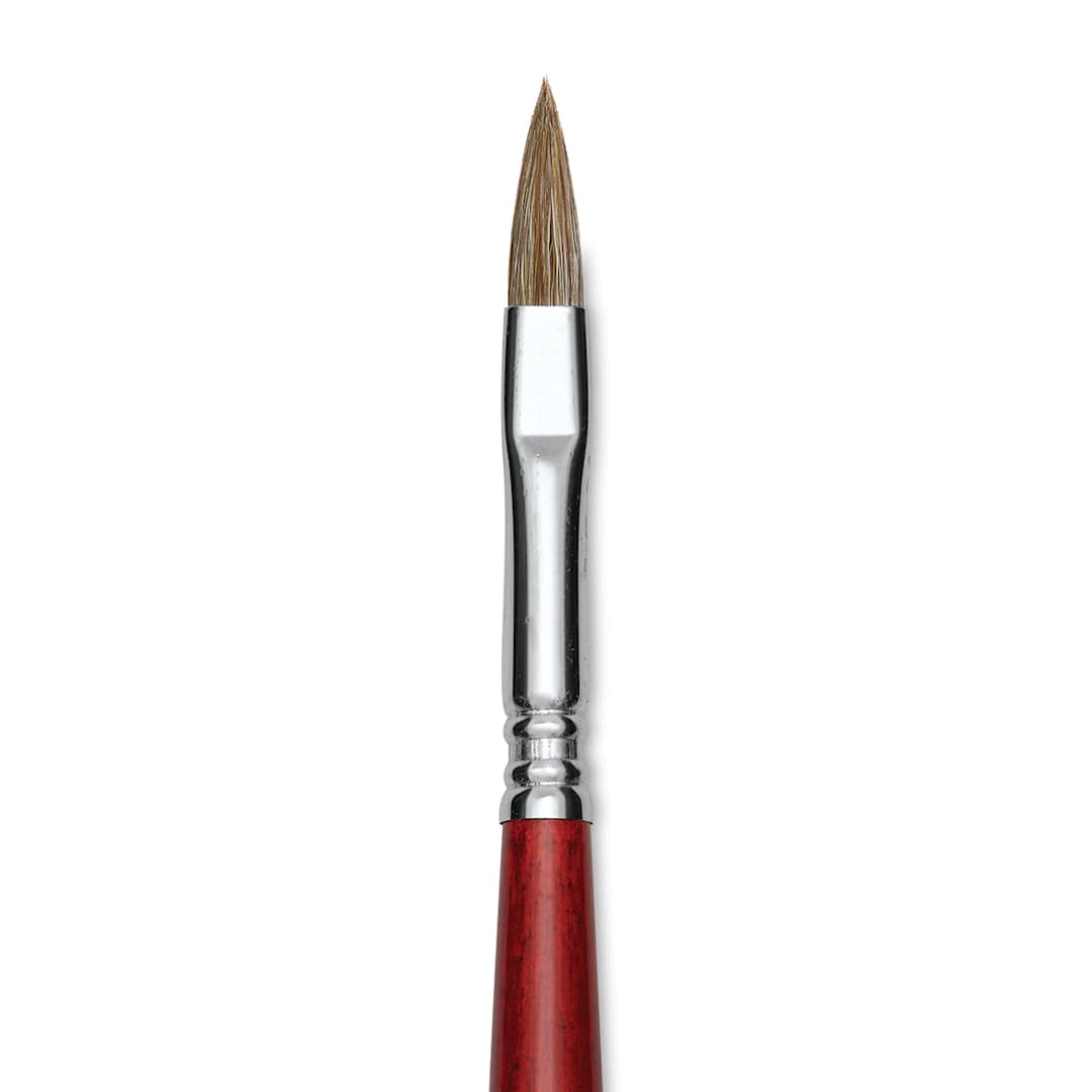 Open in modal - Escoda Bravo Light Ox Hair Brush - Long Filbert, Long Handle, Size 8 close up
