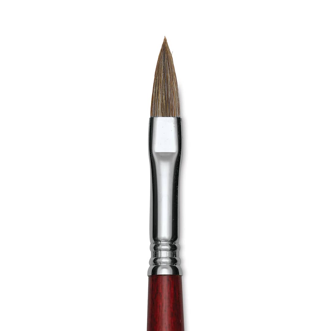 Open in modal - Escoda Bravo Light Ox Hair Brush - Long Filbert, Long Handle, Size 10 close up