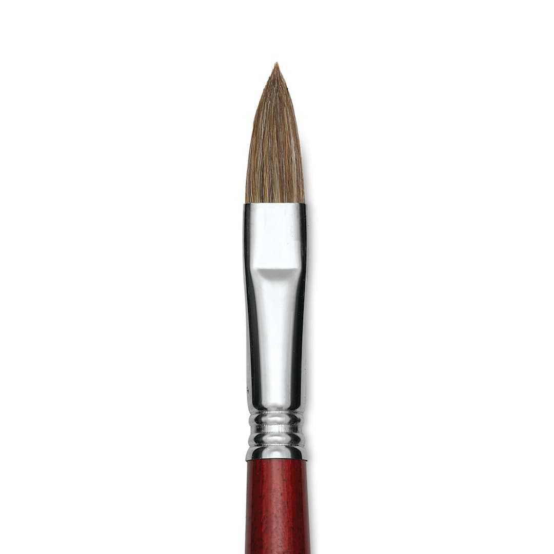 Open in modal - Escoda Bravo Light Ox Hair Brush - Long Filbert, Long Handle, Size 14 close up