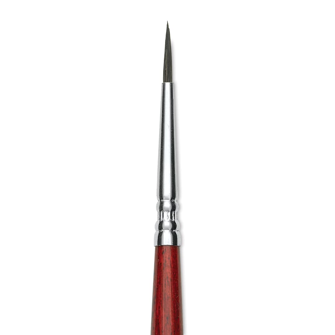 Open in modal - Escoda Aquario Squirrel Hair Brush - Round, Short Handle, Size 1, close-up