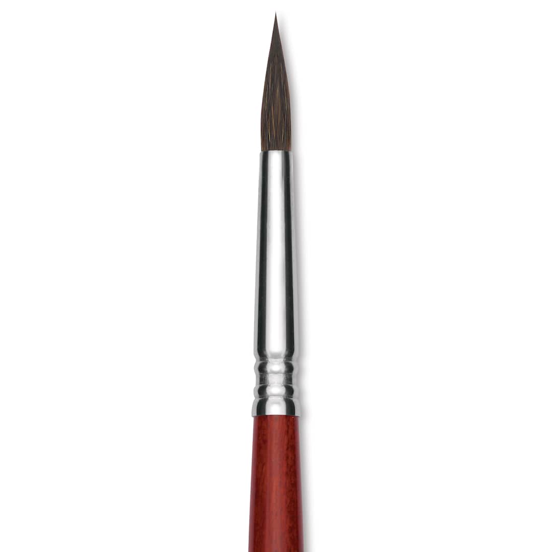 Open in modal - Escoda Aquario Squirrel Hair Brush - Round, Short Handle, Size 8, close-up