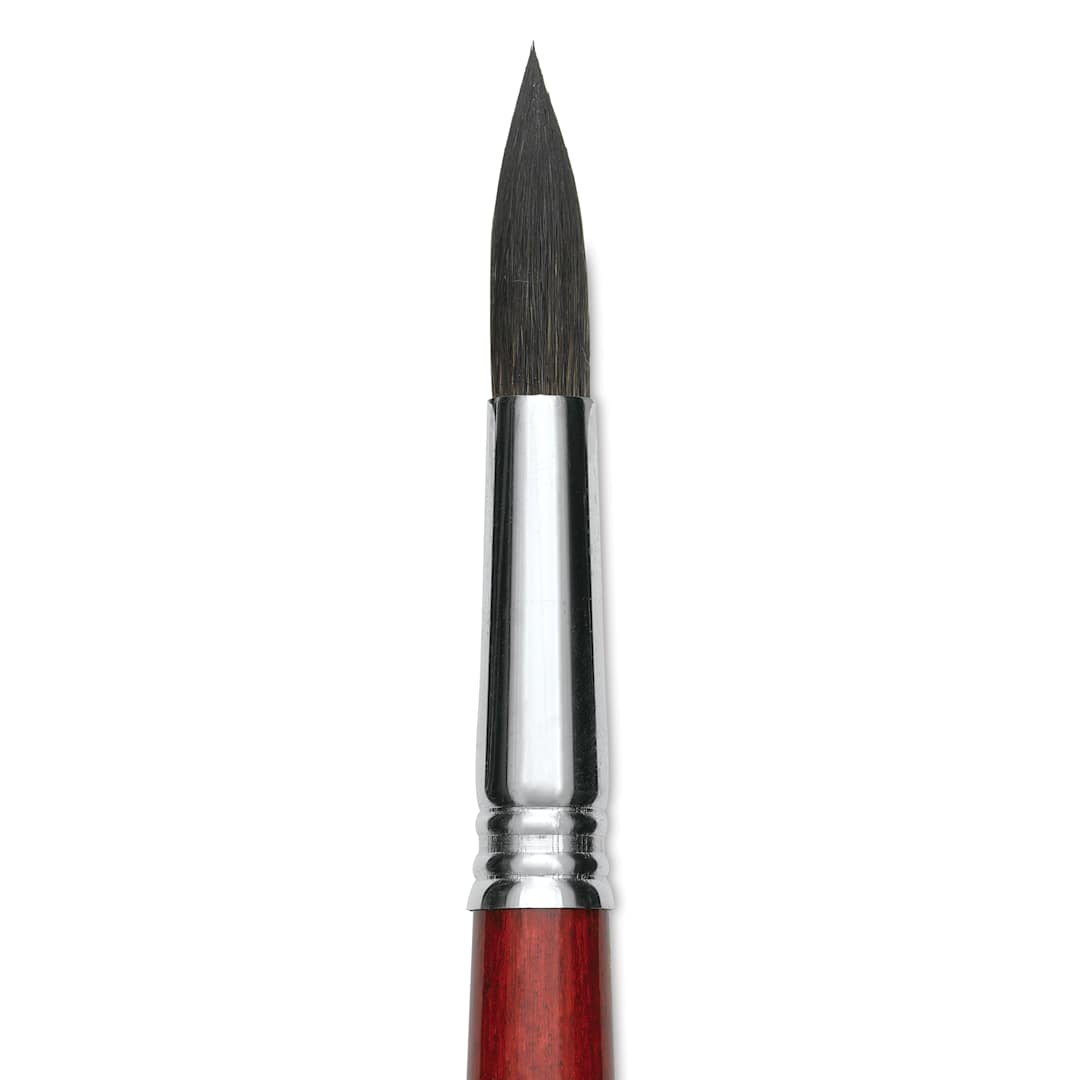 Open in modal - Escoda Aquario Squirrel Hair Brush - Round, Short Handle, Size 16, close-up