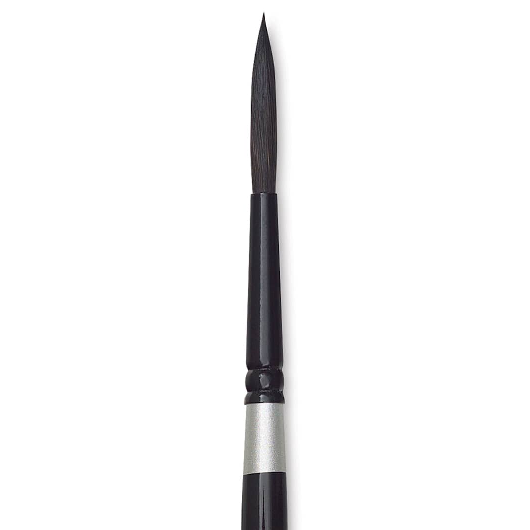 Open in modal - Silver Brush Black Velvet Brush - Script, Size 8 close up