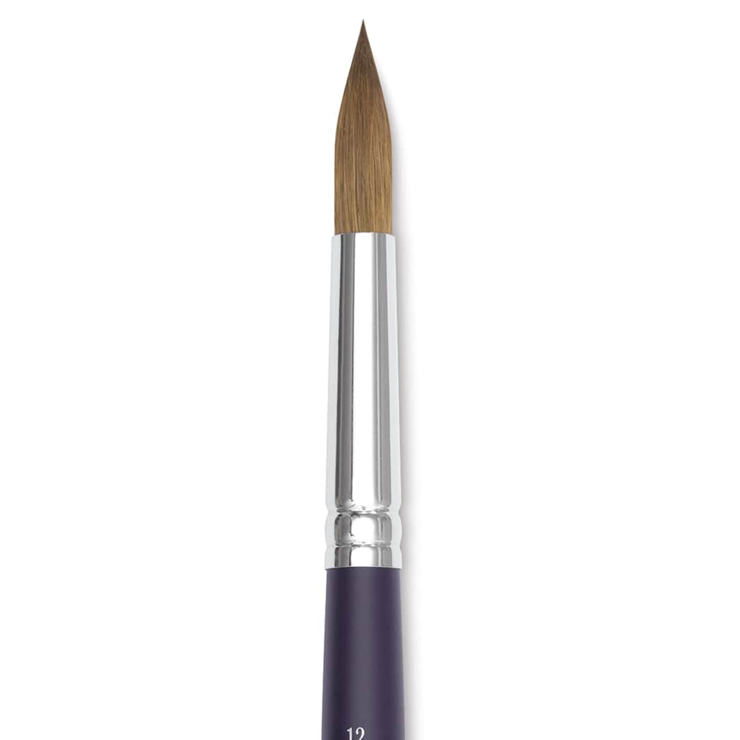 Open in modal - Winsor & Newton Artists' Kolinsky Sable Watercolor Brush - Round, Short Handle, Size 12 close up
