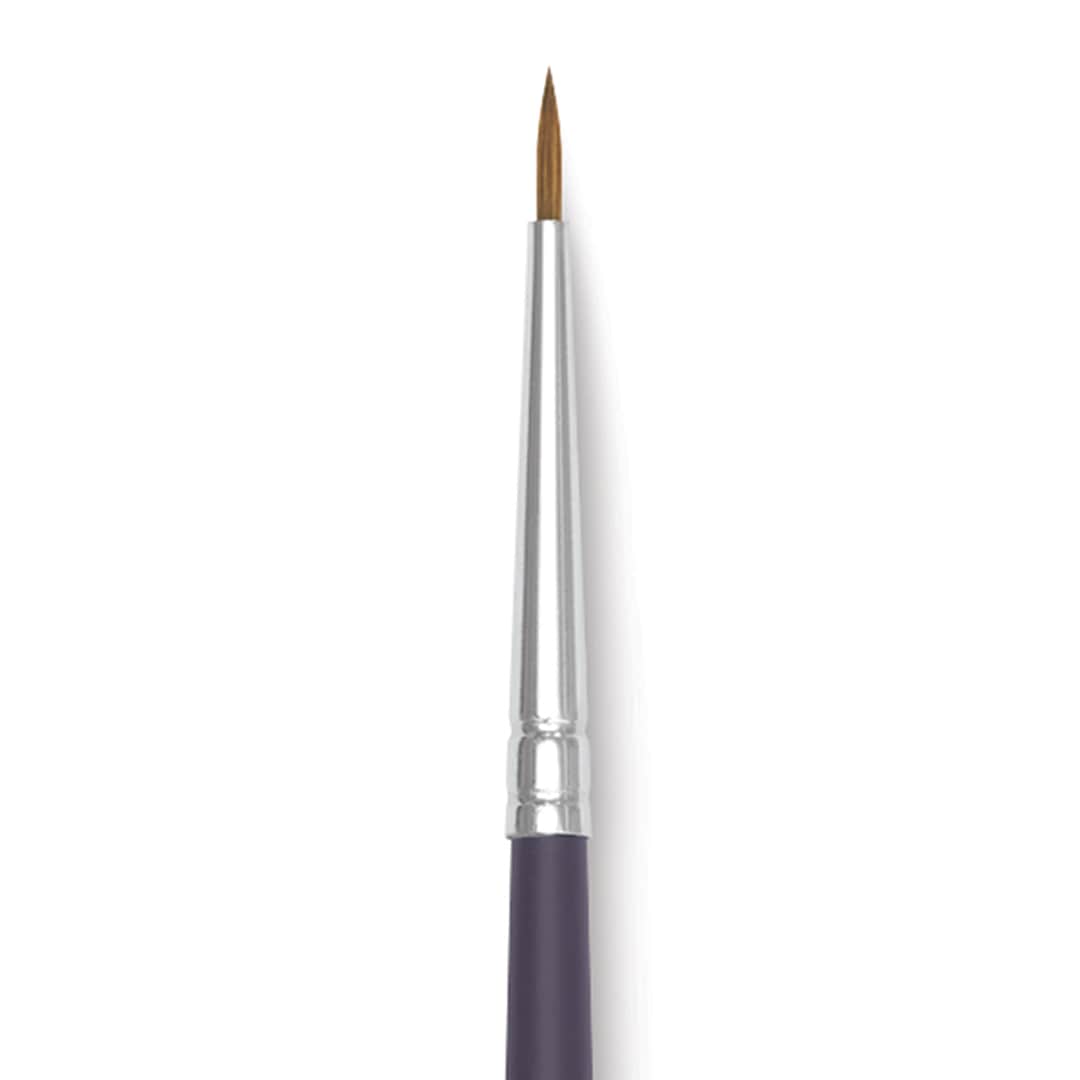 Open in modal - Winsor & Newton Artists' Kolinsky Sable Watercolor Brush - Round, Short Handle, Size 2/0 close up