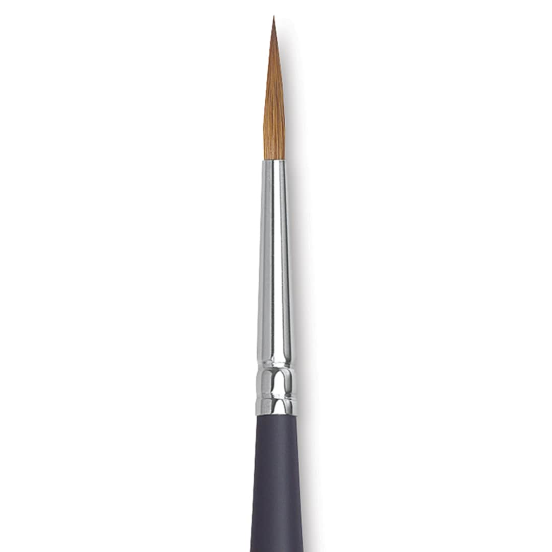 Open in modal - Winsor & Newton Artists' Kolinsky Sable Watercolor Brush - Pointed Round, Short Handle, Size 4 close up