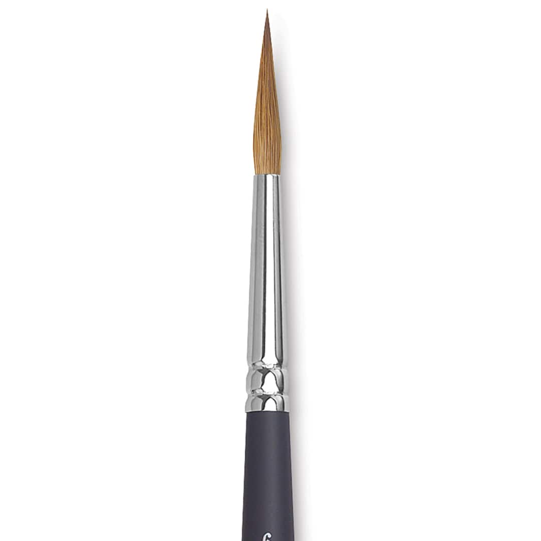 Open in modal - Winsor & Newton Artists' Kolinsky Sable Watercolor Brush - Pointed Round, Short Handle, Size 6 close up