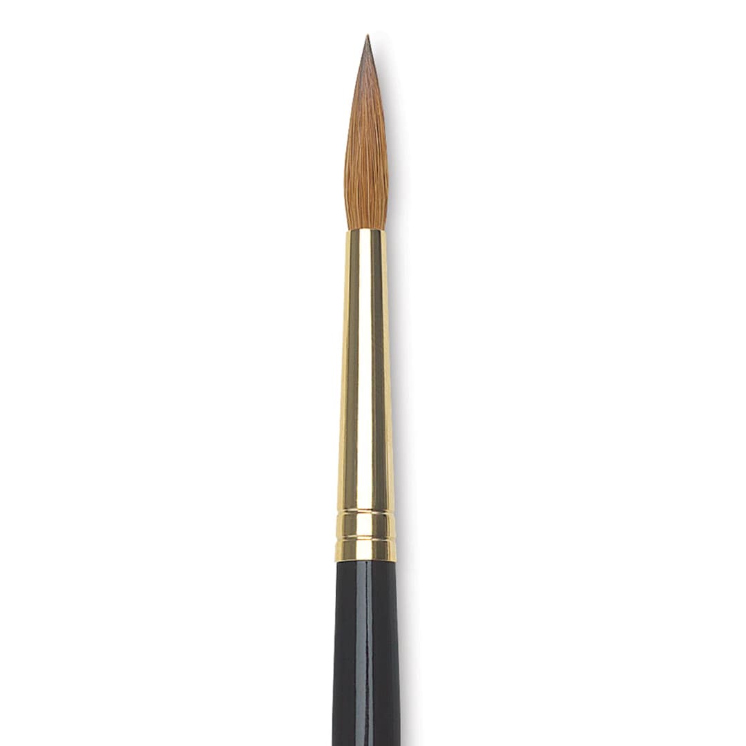 Open in modal - Da Vinci Maestro Kolinsky Brush - Full Belly Round, Short Handle, Size 6 closeup