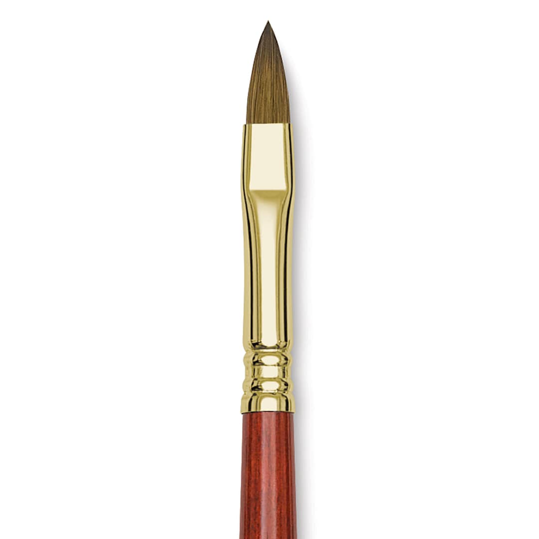 Open in modal - Blick Master Kolinsky Sable Brush - Filbert, Short Handle, Size 8 close up