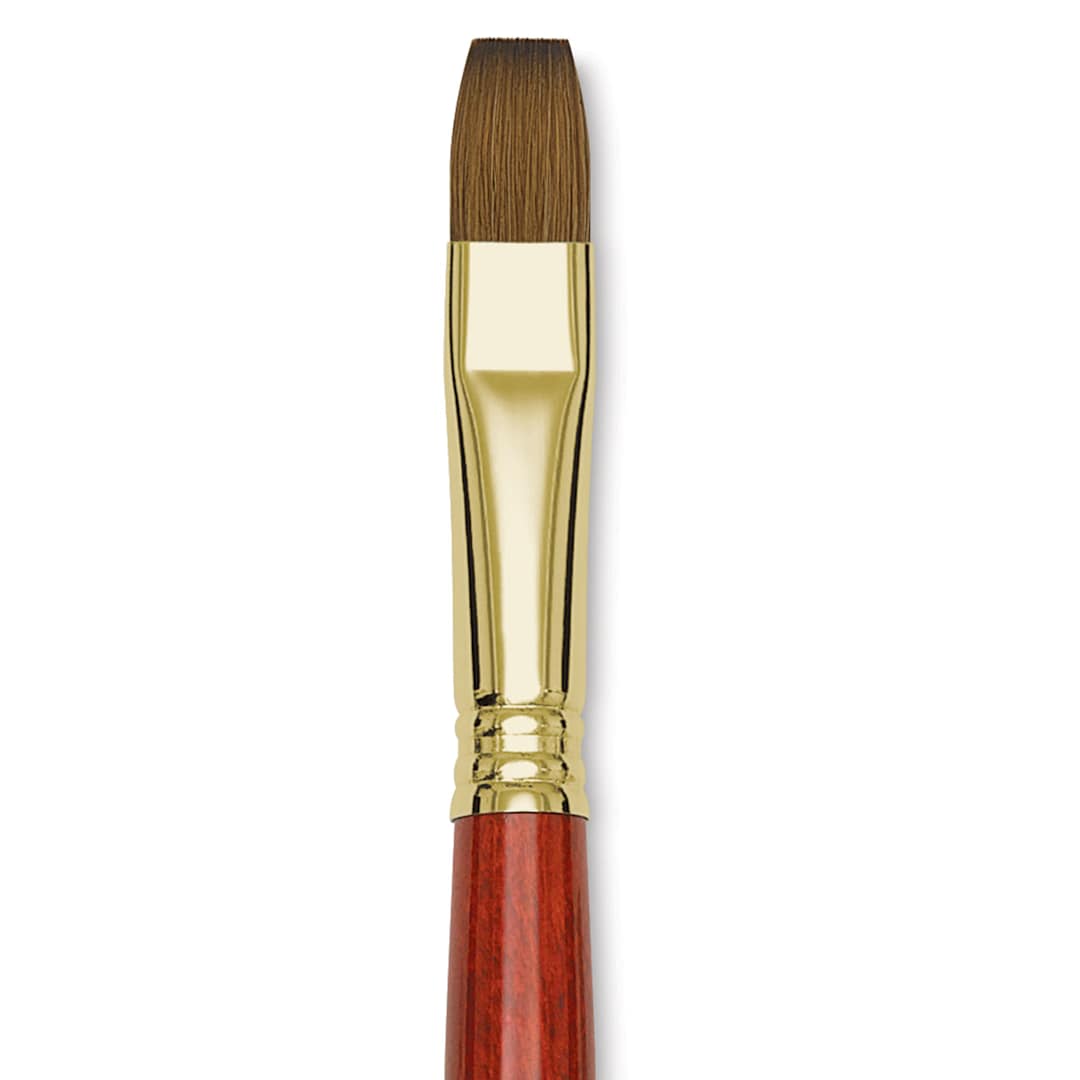 Open in modal - Blick Master Kolinsky Sable Brush - Bright, Short Handle, Size 14 close up